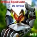 DJ PitBul - Spring Bomb Mix