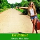 DJ PitBul - I'm So Hot Mix