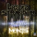 Liquid Stranger - Drones