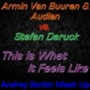Armin Van Buuren & Audien vs. Stefan Daruck - This Is What It Feels Like (Andrey Gorkin Mash Up)