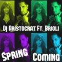 Dj Aristocrat ft. Brioli - Spring Coming (Bare B Remix)