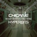 Chicane - What Am I Doing Here