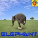 PaPa Andy - Elephant