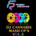 Priyanka Chopra ft.Pitbull vs. Keyton & JWell - Exotic (DJ Cannabis Mashup)