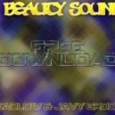 Deadlow & Javy Groove - Beauty Sounds (Original Mix)