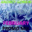 Dj Andrey Gorkin - February Promo Mix 2014