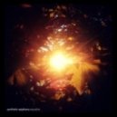 Synthetic Epiphany - Cracks
