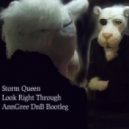 Storm Queen - Look Right Through