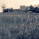 Mike Hennessy - Meadow