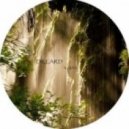DILLARD - YUIAN
