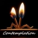 UUSVAN - Contemplation ()
