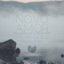 Novo Amor - From Gold
