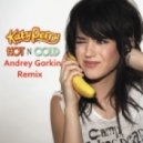 Katy Perry - Hot N\' Cold (Andrey Gorkin Remix)