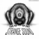 Strangesound - Music is language