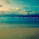 Alex Schulz - What you need