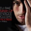 Enrique Iglesias feat. Pitbull - Im A Freak (DJ RAE Mash Up)