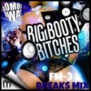 Bombs Away - Big Booty Bitches (FM-3 Breaks Mix)