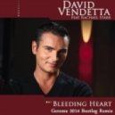 David Vendetta feat. Rachael Starr - Bleeding Heart