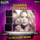 Shakira & Rihanna - Can't Remember To Forget You
