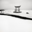 Taigai - Rodo