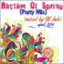 DJ Sale - Rhythm Of Spring (Party Mix)