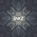 LNKZ - Hold Ya Milli (Original mix)