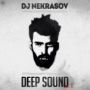 Dj Nekrasov - DeeP SounD vol.2
