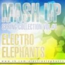 Far East Movement vs Shutterz - Turn Up The Love (Electro Elephants Mash up)