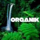 Afterbeat - Organik #002 ()