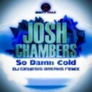 Josh Chambers - So Damn Cold (dj genesis breaks remix)