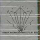 Tessela - Hackney Parrot