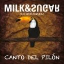Milk & Sugar feat. Maria Marquez - Canto Del Pilon (Richard Spark Remix)