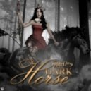 Katy Perry - Dark horse (Hakan Gokan remix)