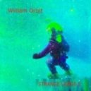 William Orbit - Just A Night Or Two