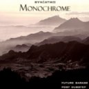 Syn:Atmo - Monochrome