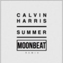 Calvin Harris - Summer