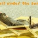 Sul & Ira_Z - Kaif Under the Sun...