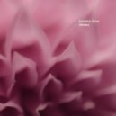 Zaika - Evening Glow