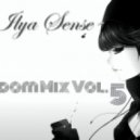 Dj Ilya Sense - Random Mix vol.5
