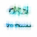 Okul - The Shadow (Original mix)