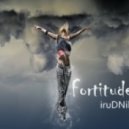 iruDNik - Fortitude