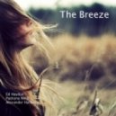Padruna - The Breeze (Original Mix)