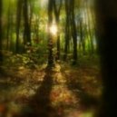 Ant To be & Stereo Silence - Confused Thoughts (Original mix)