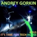 Dj Andrey Gorkin - It's Time For Tech House #015