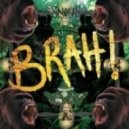 Snavs - Brah! & Rockin to the realest (Dj TreenaD & Dj SpeeD Crazy Mash-Up)