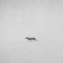 Majai - Slip Away (Gurnumsbug Remix)