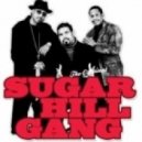 Sugar Hill Gang vs James Brownno artist - New Rappers Delight (Marco ooki ft. Jawger Rework)