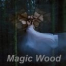 Kaitlyn - Magic Wood