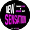 Roger Jay, David Lyle - New Sensation