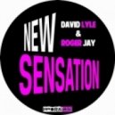 Roger Jay, David Lyle - New Sensation (Original Mix)